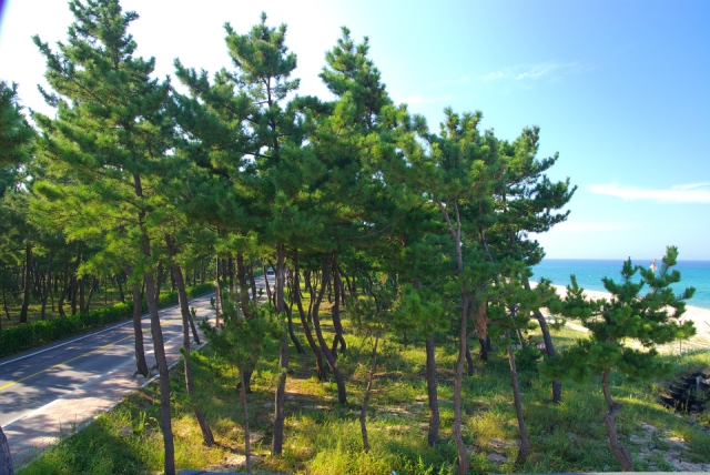 송정해변